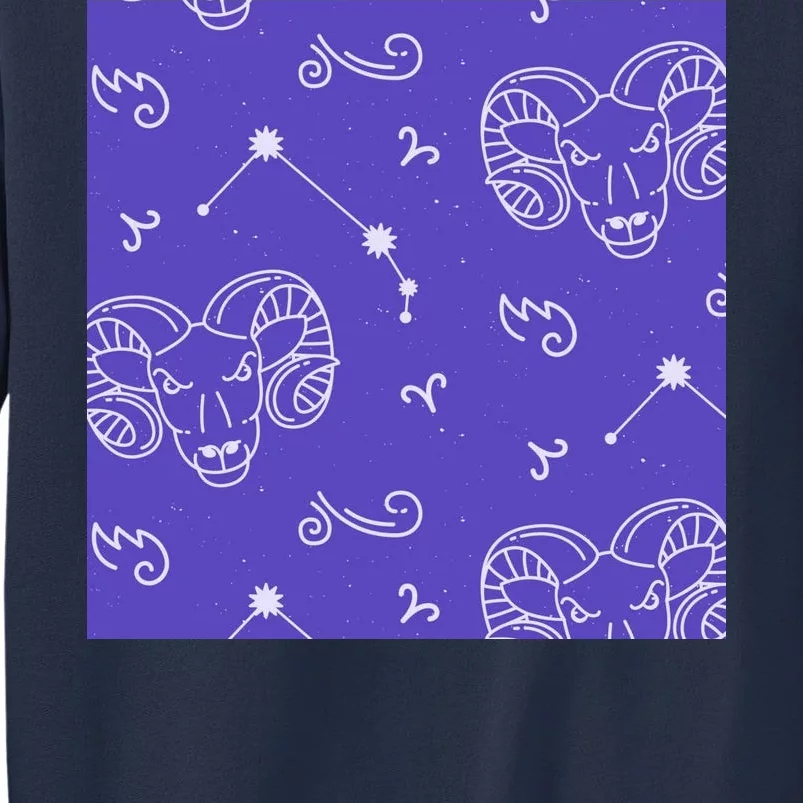 Aries Zodiac Astrology Sweatshirt