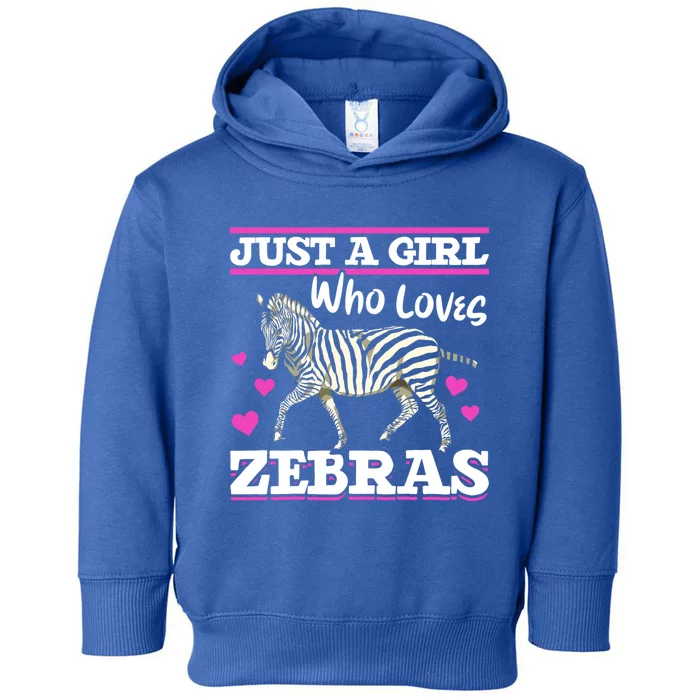 Africa Zoo Animal Just A Who Loves Zebras Cute Gift Toddler Hoodie