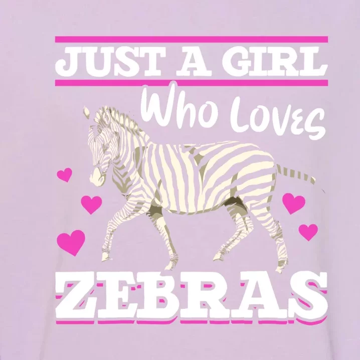 Africa Zoo Animal Just A Who Loves Zebras Cute Gift Garment-Dyed Sweatshirt