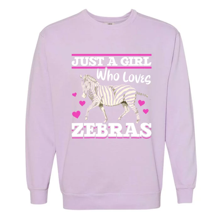 Africa Zoo Animal Just A Who Loves Zebras Cute Gift Garment-Dyed Sweatshirt