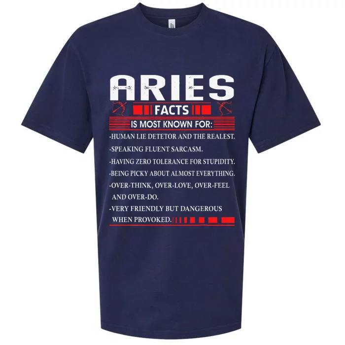 Aries Zodiac Birthday Aries Facts Gift Funny Sueded Cloud Jersey T-Shirt