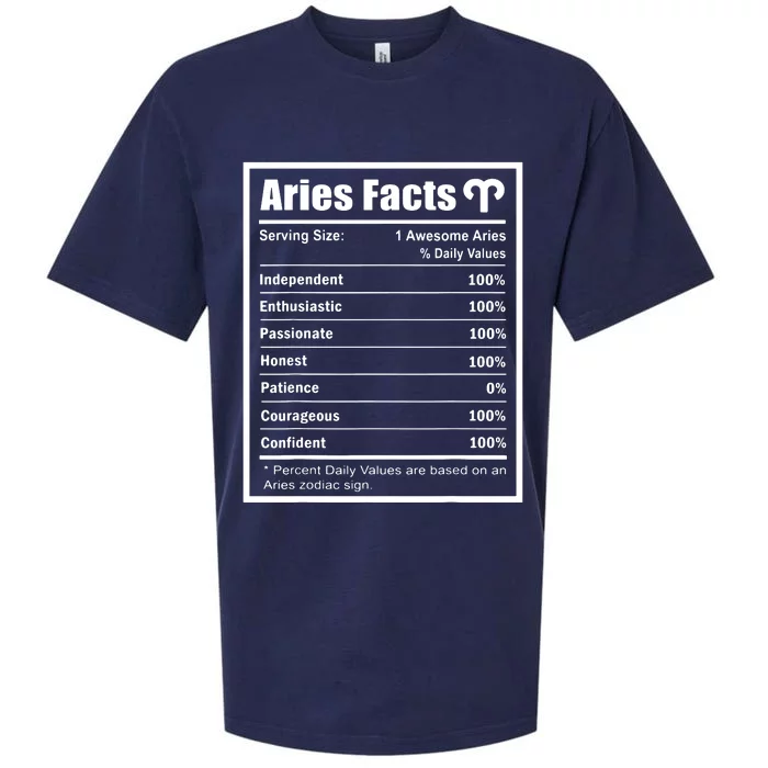 Aries Zodiac Sign Fun Facts Shirts Men Women Birthday Aries Sueded Cloud Jersey T-Shirt