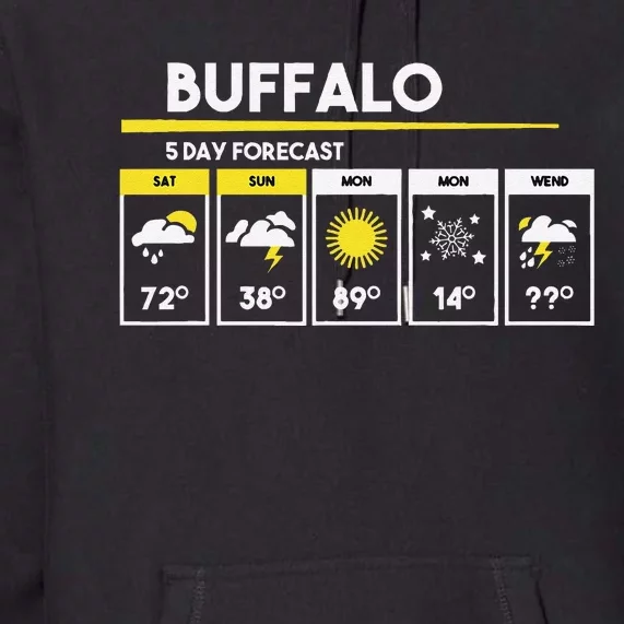 Buffalo 5 Days Forecast Premium Hoodie