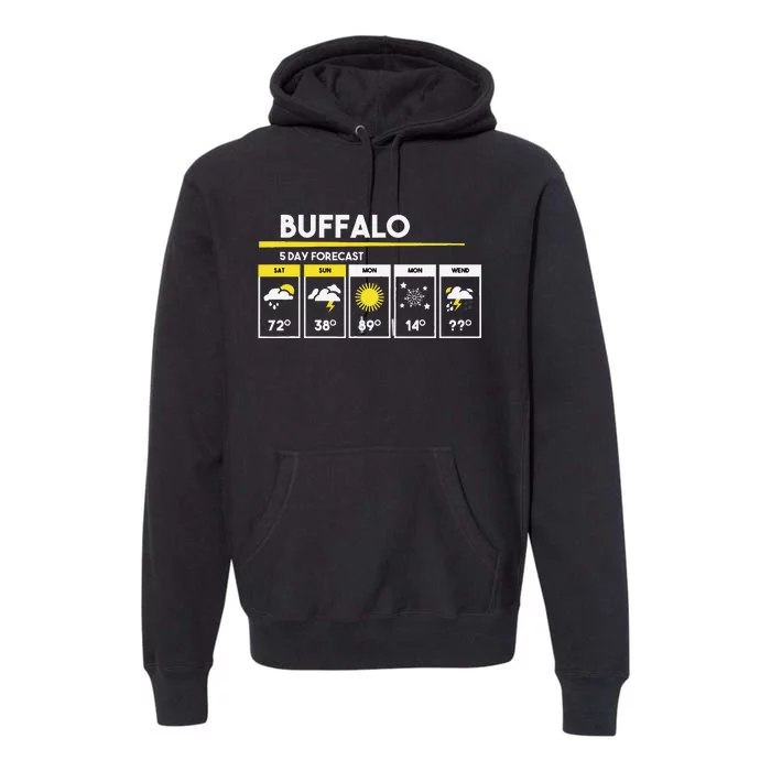 Buffalo 5 Days Forecast Premium Hoodie