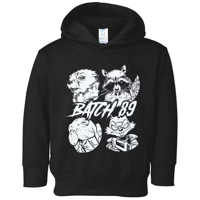 Batch 89 Rocket And Friends Toddler Hoodie