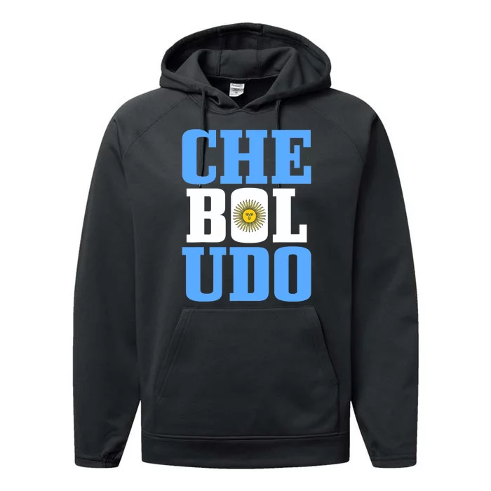 Boludo Argentina Argentinian Flag Pride Roots Funny Performance Fleece Hoodie