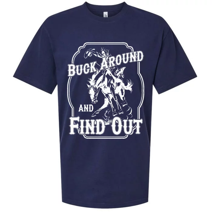 Buck Around And Find Out Sueded Cloud Jersey T-Shirt