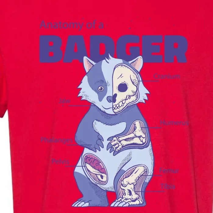 Badger Animal Anatomy Garment-Dyed Heavyweight T-Shirt