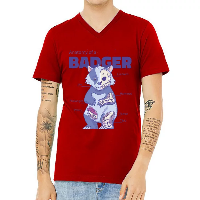 Badger Animal Anatomy V-Neck T-Shirt