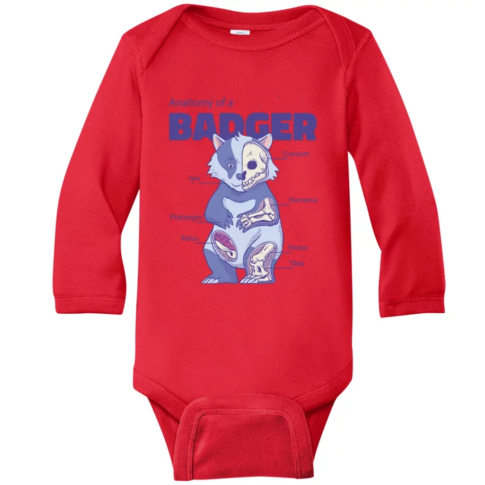 Badger Animal Anatomy Baby Long Sleeve Bodysuit