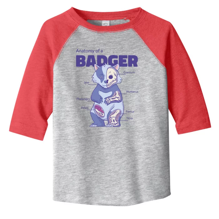 Badger Animal Anatomy Toddler Fine Jersey T-Shirt