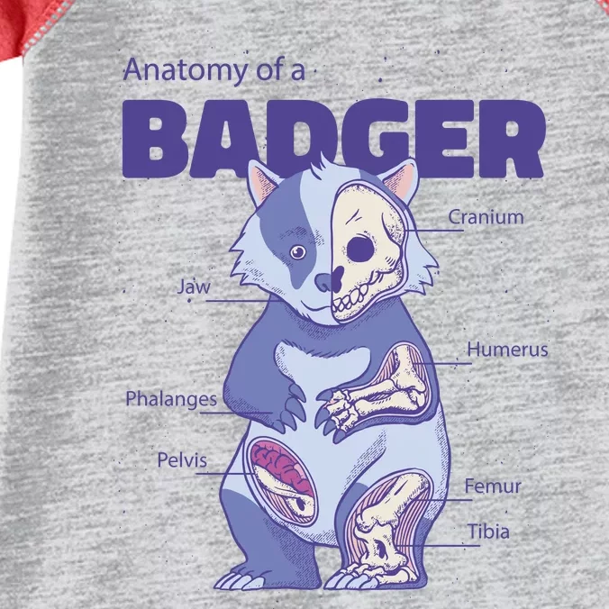 Badger Animal Anatomy Infant Baby Jersey Bodysuit