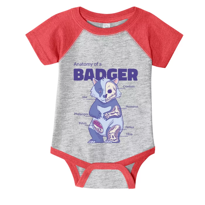 Badger Animal Anatomy Infant Baby Jersey Bodysuit