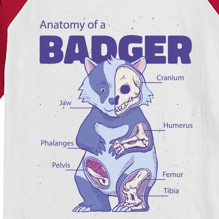 Badger Animal Anatomy Kids Colorblock Raglan Jersey