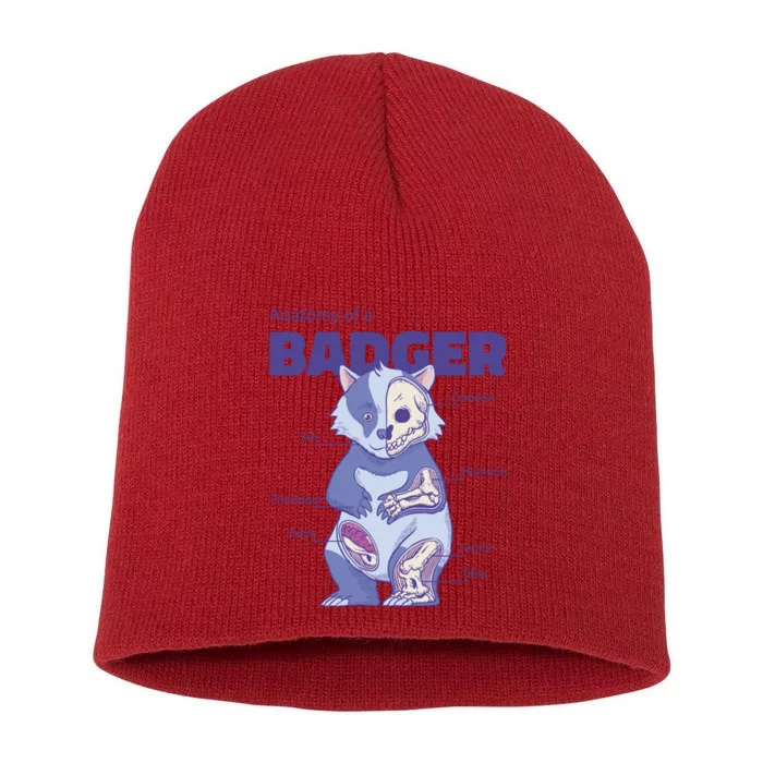 Badger Animal Anatomy Short Acrylic Beanie