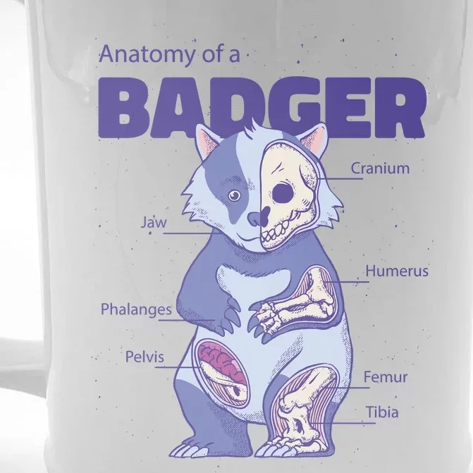 Badger Animal Anatomy Front & Back Beer Stein