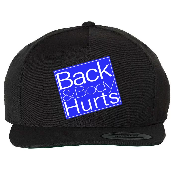 Back and Body Hurts Blue Logo Wool Snapback Cap