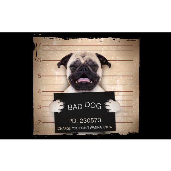 Bad Dog Funny Pug Prison Mug Shot Bumper Sticker