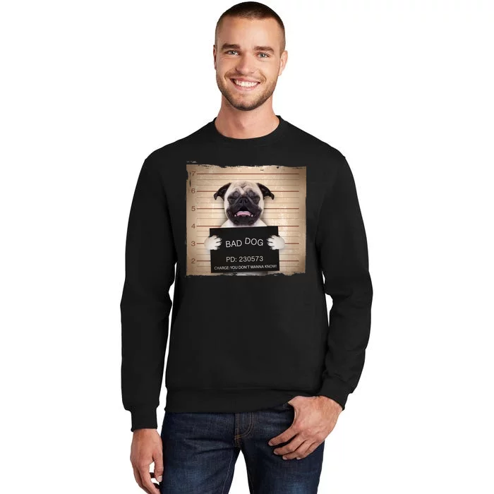 Bad Dog Funny Pug Prison Mug Shot Tall Sweatshirt