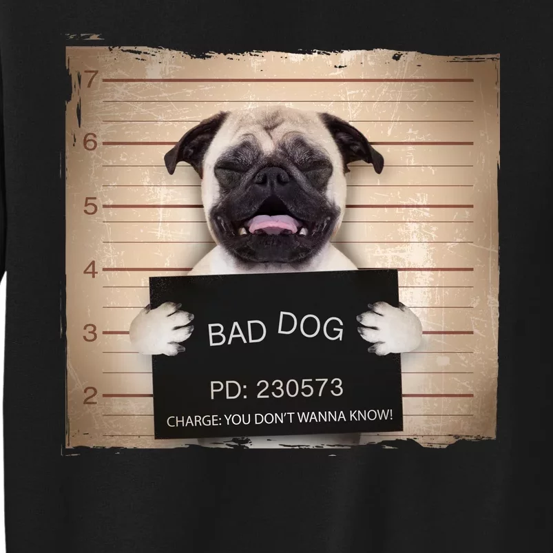 Bad Dog Funny Pug Prison Mug Shot Tall Sweatshirt