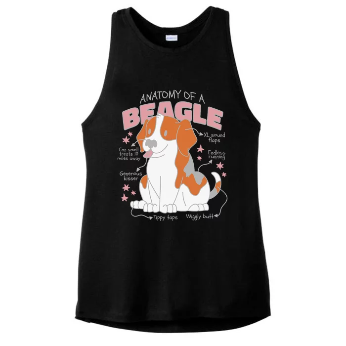 Beagle Anatomy Dog Ladies Tri-Blend Wicking Tank