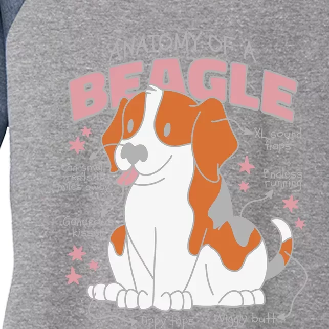 Beagle Anatomy Dog Women's Tri-Blend 3/4-Sleeve Raglan Shirt