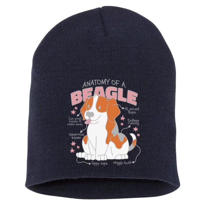 Beagle Anatomy Dog Short Acrylic Beanie