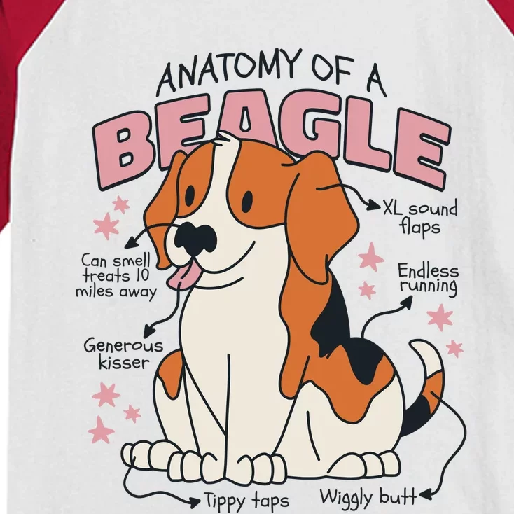 Beagle Anatomy Dog Kids Colorblock Raglan Jersey