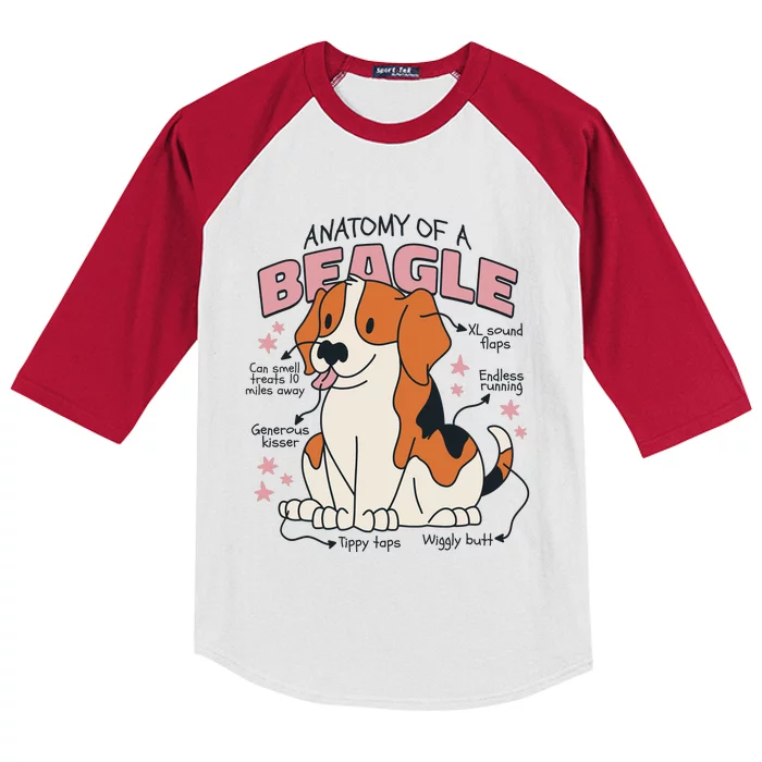 Beagle Anatomy Dog Kids Colorblock Raglan Jersey