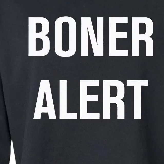 Boner Alert Funny Jokes Sarcastic Family Cropped Pullover Crew