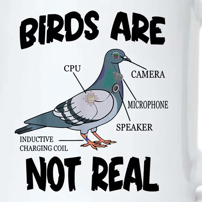 Birds Are Not Real Diagram Black Color Changing Mug