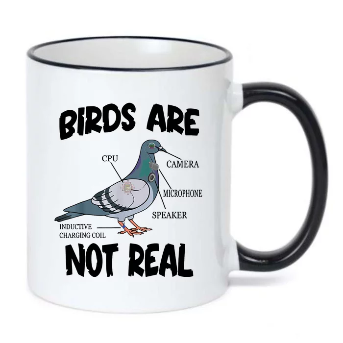 Birds Are Not Real Diagram Black Color Changing Mug