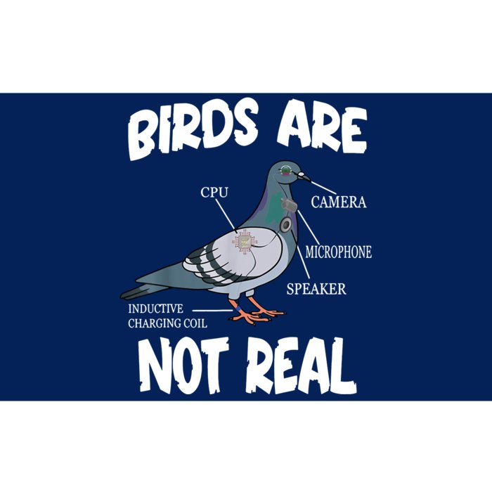 Birds Are Not Real Diagram Bumper Sticker