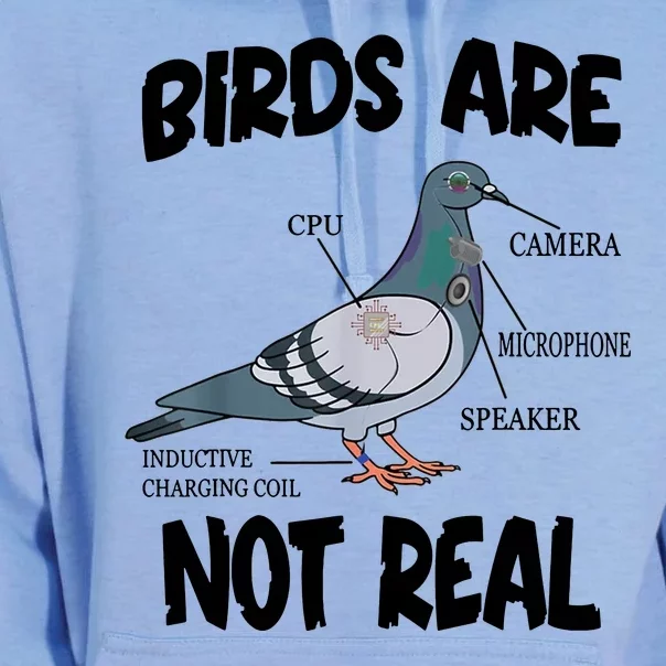 Birds Are Not Real Diagram Unisex Surf Hoodie