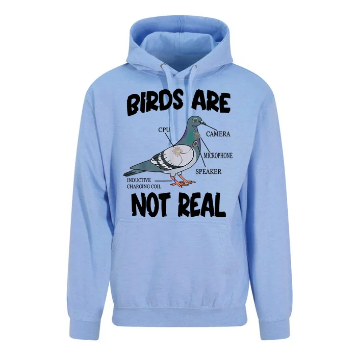 Birds Are Not Real Diagram Unisex Surf Hoodie