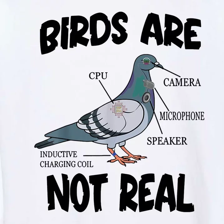 Birds Are Not Real Diagram Garment-Dyed Sweatshirt