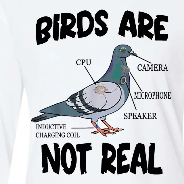 Birds Are Not Real Diagram Womens Cotton Relaxed Long Sleeve T-Shirt