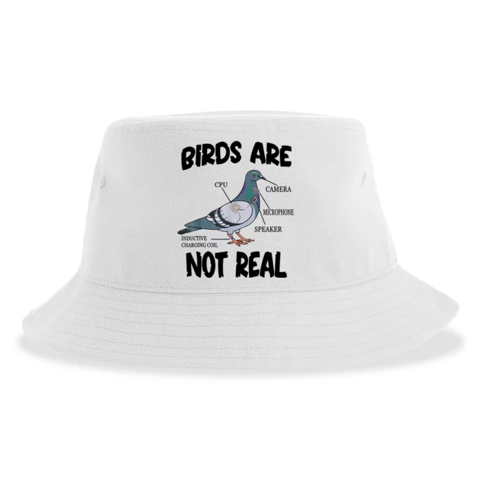 Birds Are Not Real Diagram Sustainable Bucket Hat