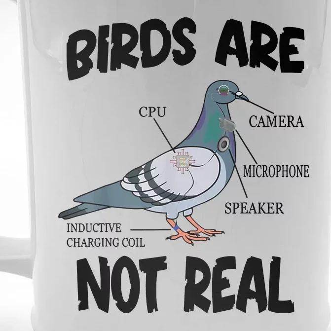 Birds Are Not Real Diagram Front & Back Beer Stein