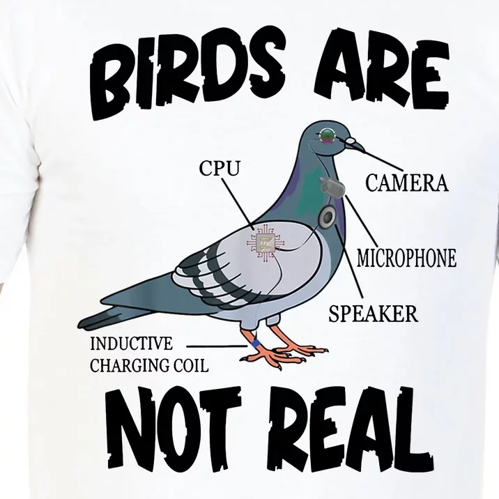 Birds Are Not Real Diagram Comfort Colors T-Shirt