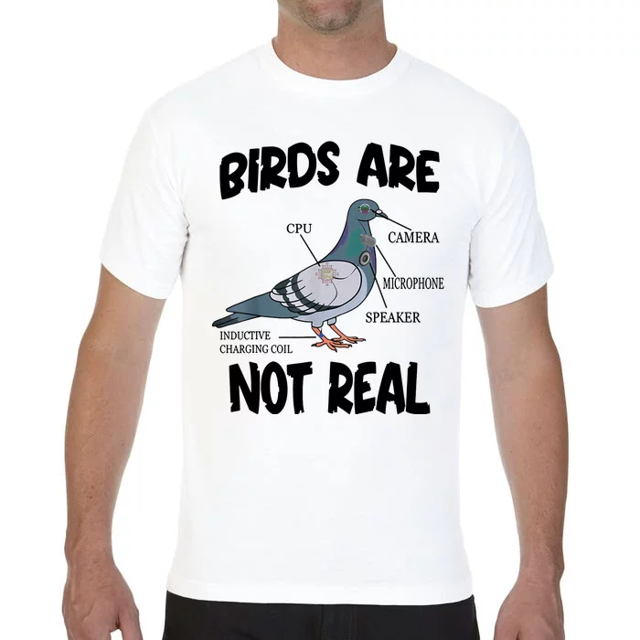 Birds Are Not Real Diagram Comfort Colors T-Shirt