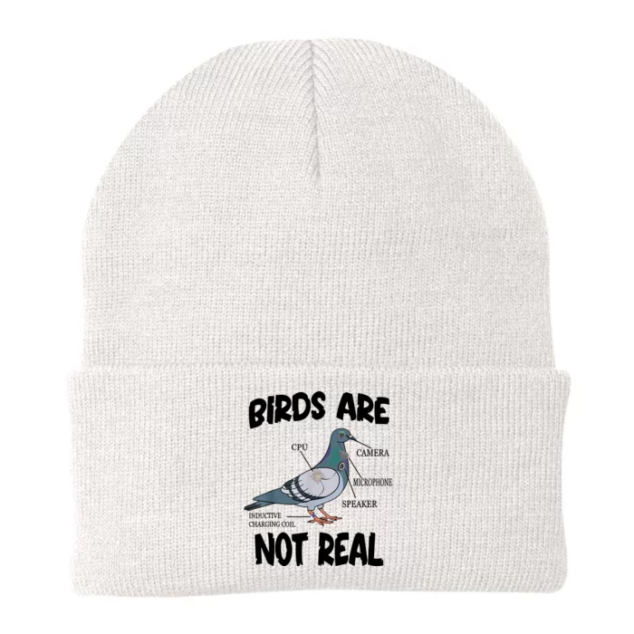 Birds Are Not Real Diagram Knit Cap Winter Beanie