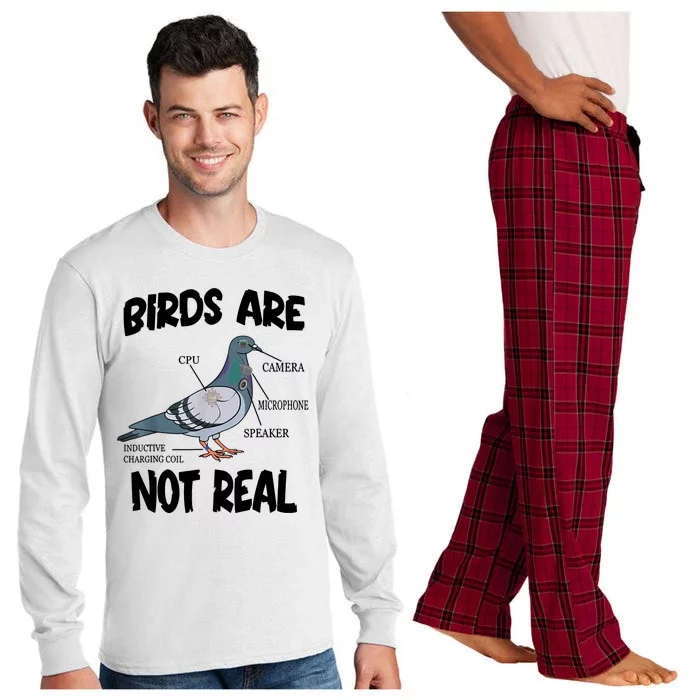 Birds Are Not Real Diagram Long Sleeve Pajama Set