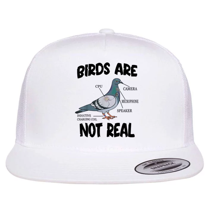 Birds Are Not Real Diagram Flat Bill Trucker Hat