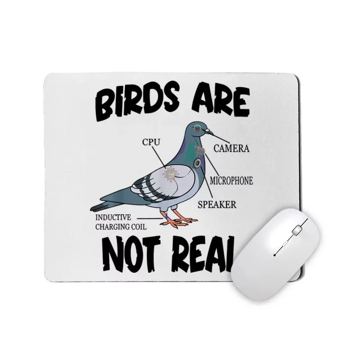 Birds Are Not Real Diagram Mousepad