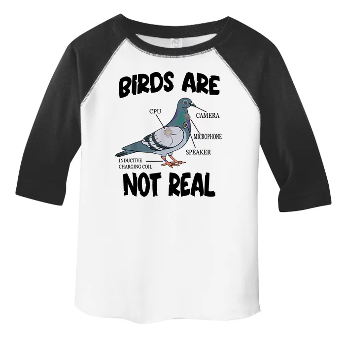 Birds Are Not Real Diagram Toddler Fine Jersey T-Shirt