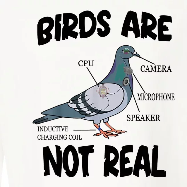 Birds Are Not Real Diagram Cropped Pullover Crew