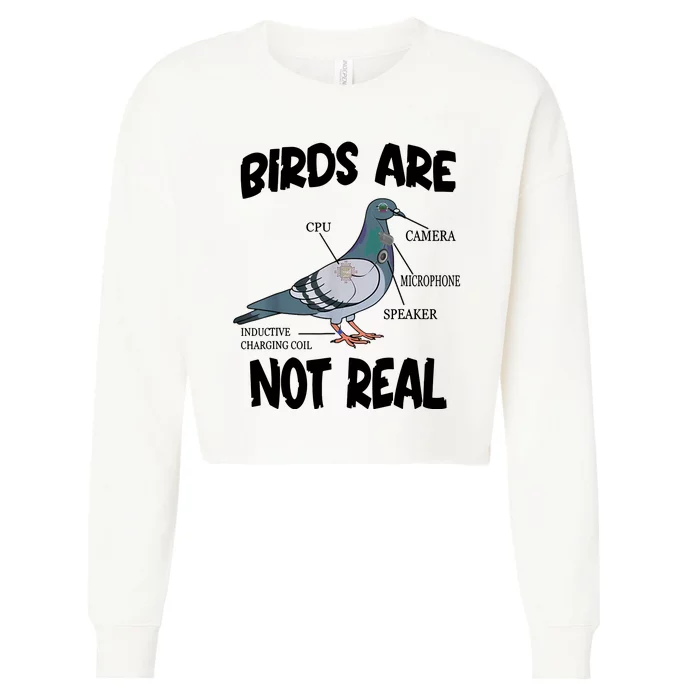 Birds Are Not Real Diagram Cropped Pullover Crew