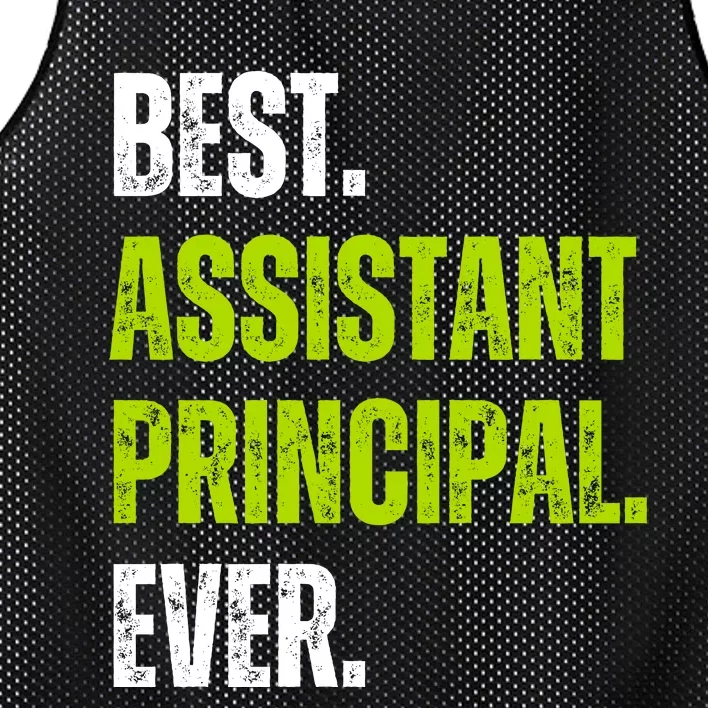 Best Assistant Principal Ever Funny Mesh Reversible Basketball Jersey Tank