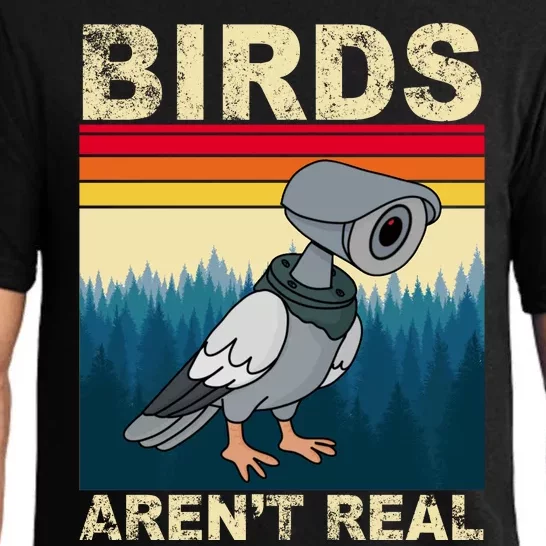 Birds Aren't Real Camera Sunset Pajama Set